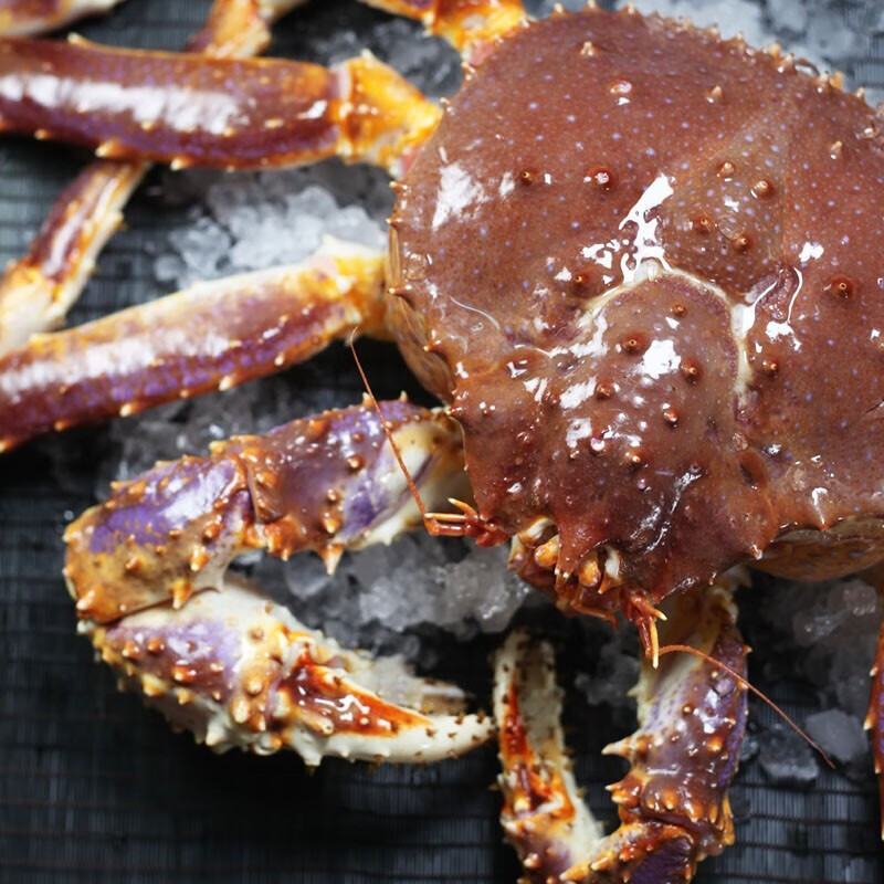 【活鲜】喵和渔 鲜活帝王蟹帝皇蟹俄罗斯大螃蟹阿拉斯加海鲜 4.1-4.5斤/一只 （鲜活发货）