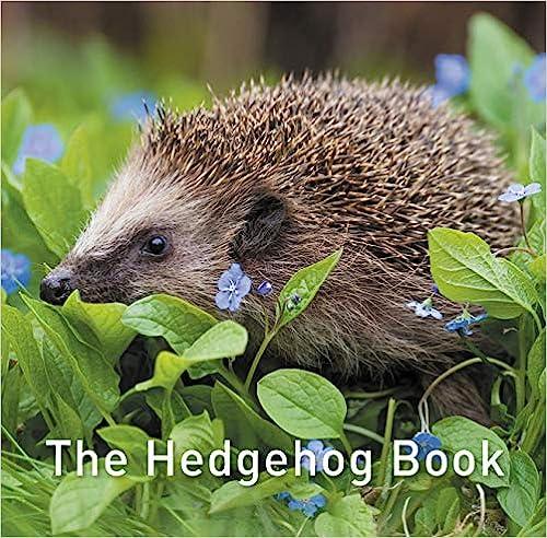 预订 the hedgehog book