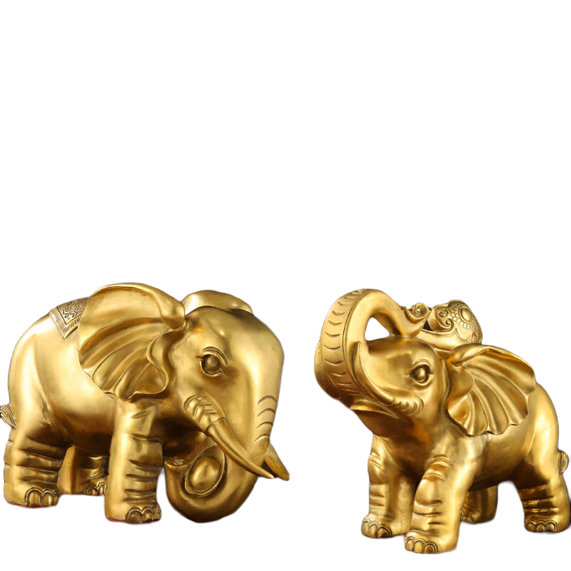 明恩大象擺件一對全銅大象擺件招風(fēng)水象財銅制大象吸水象黃銅客廳家居 12號財福象一對(贈五帝錢)