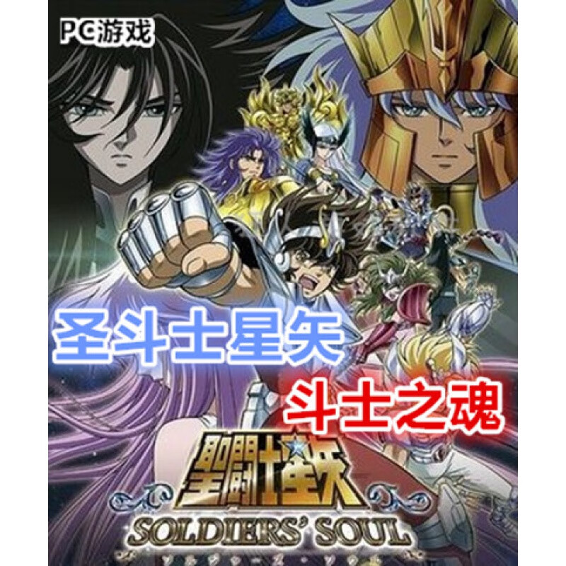 圣斗士星矢斗士之魂 中文版 ftg格斗pc电脑单机游戏光盘