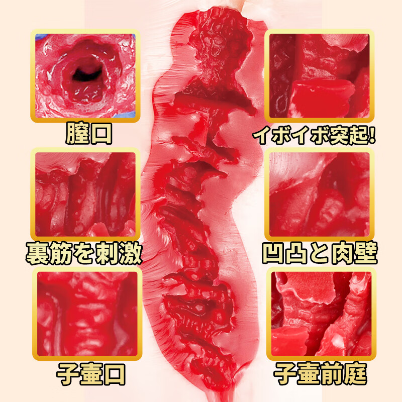 FM日本飞机杯倒模名器证明成人用品 男用自慰器 男性情趣飞机环 安斋拉拉名器
