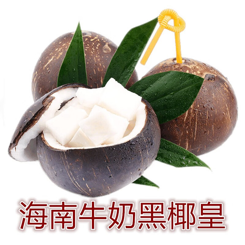 【现货现发】牛奶椰皇 新鲜香水嫩椰小奶椰 当季生鲜水果 海南黑壳椰