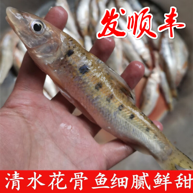 lism新鲜净膛花骨鱼正宗外鱼棍子鱼棒棒鱼蛇鮈船钉子新鲜 2斤