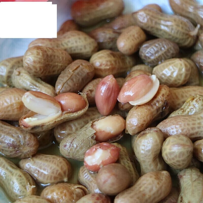 虎钢馋卤汁花生带壳水煮花生湿卤香卤味花生带壳卤水花生五香多味花生