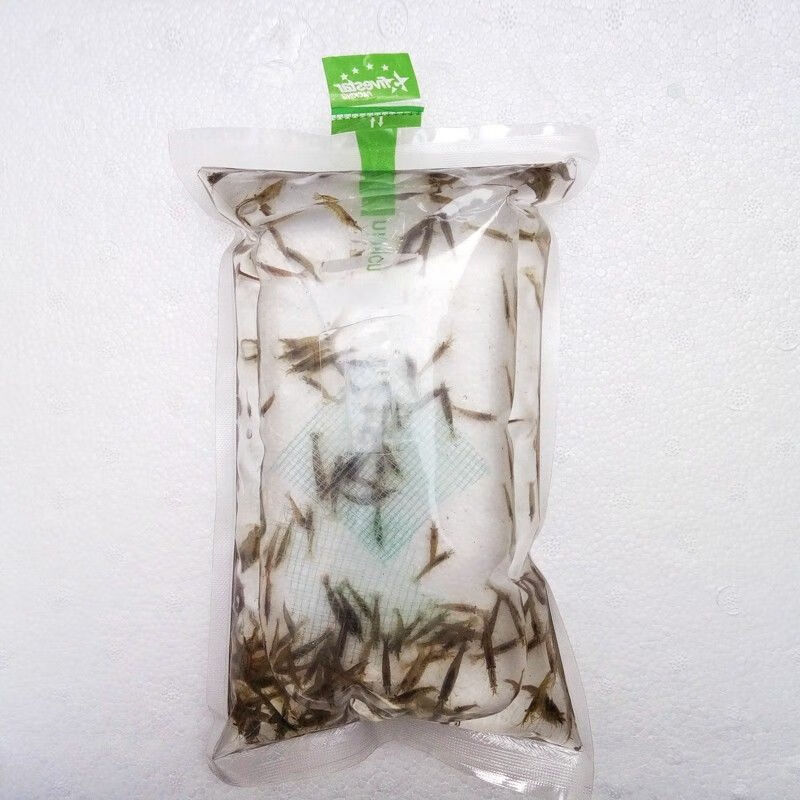 喂乌龟的小虾苗新鲜活的龟食小虾米龟粮虾自家繁殖除藻虾幼苗活体 600
