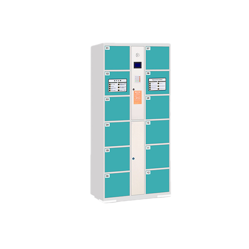 亿三威 超市电子存包柜商场储物柜手机寄存放柜条码储物柜人脸识别微信柜 12门自编码【升级版】