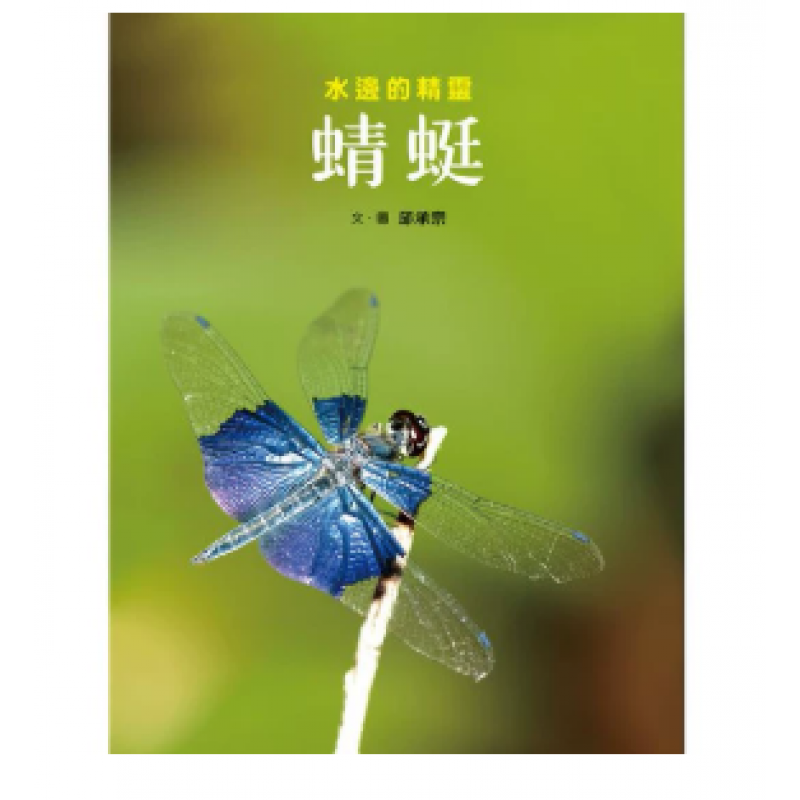预订 台版 蜻蜓 水边的精灵 引领孩子透过镜头观察蜻蜓生态的纪实绘本儿童故事【下架】