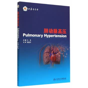 肺动脉高压  王辰  9787117195805