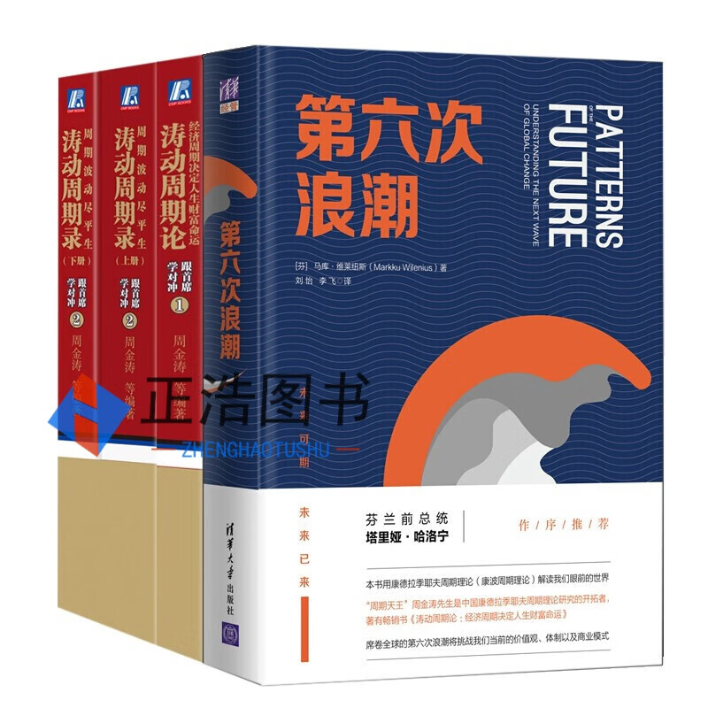 康波周期理论 4册 周金涛 第六次浪潮  涛动周期论 涛动周期录（套装上下册） 第六次浪潮正版图书