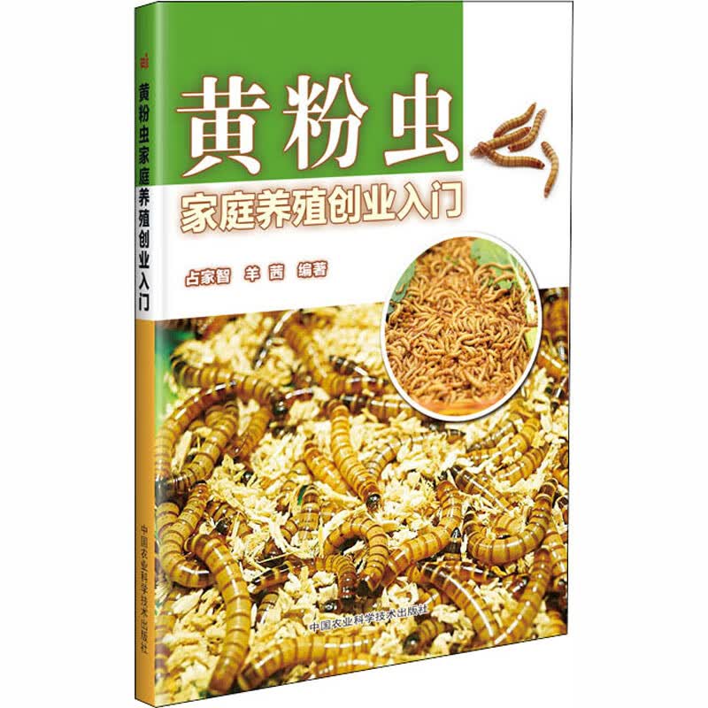 黄粉虫家庭养殖创业入门