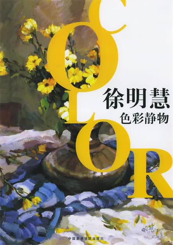 徐明慧色彩静物 徐明慧 绘 中国美术学院出版社
