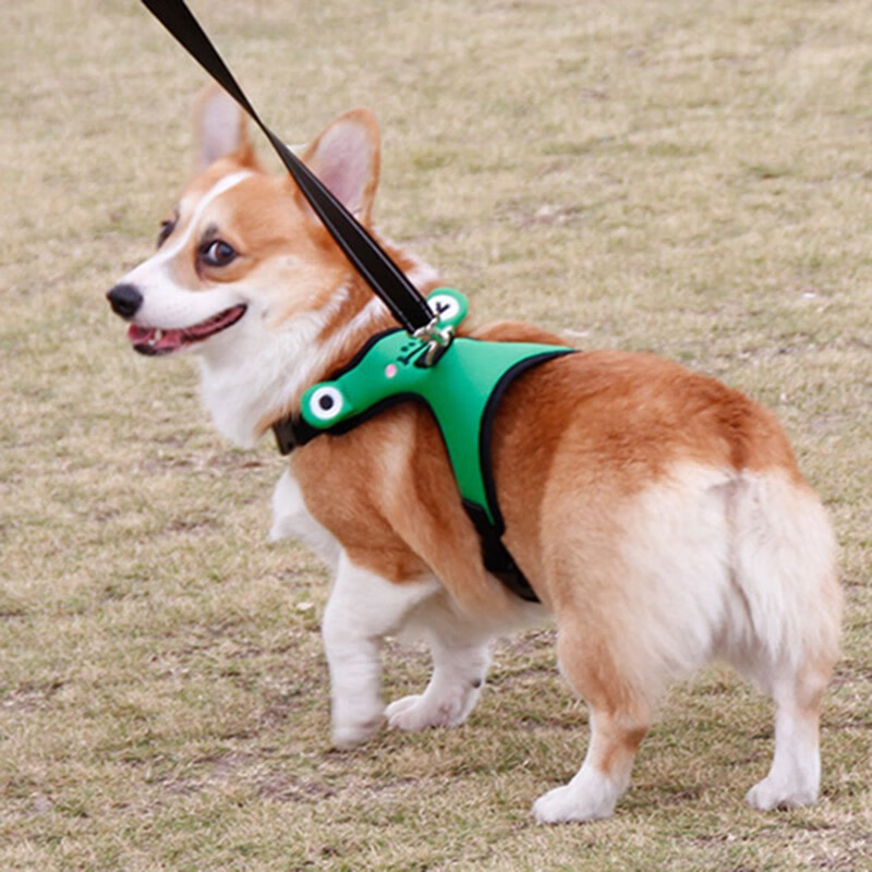 胸背带牵引绳柯基绳子小型犬防爆冲宠物泰迪法斗中型犬遛狗绳 绿蛙 xs