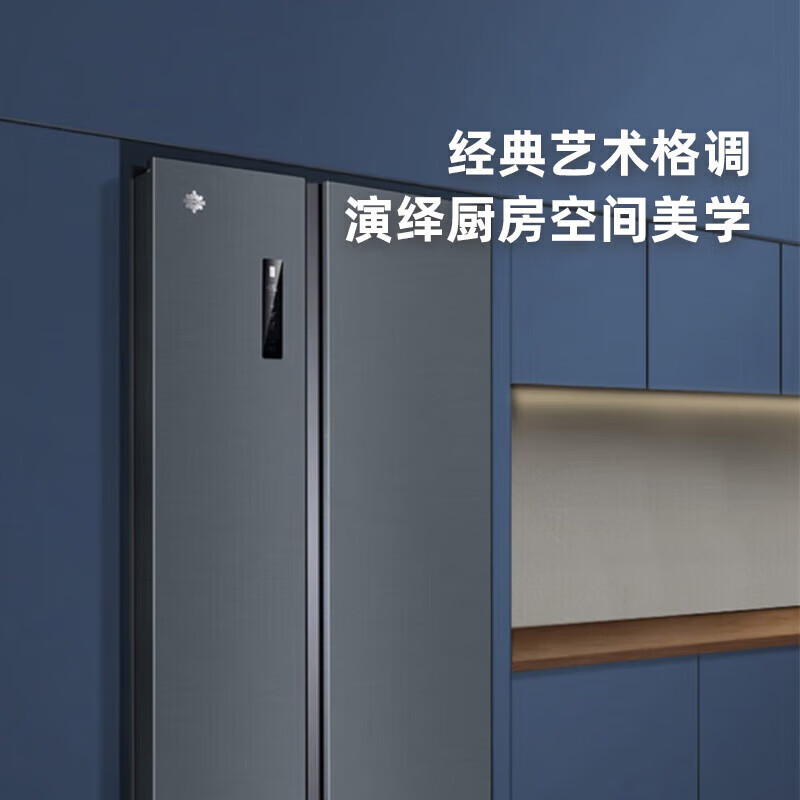 格力（GREE）晶弘冰箱600升对开-33℃深冻储鲜360度风冷养鲜变频一级能效BCD-600WPDCL/布鲁斯
