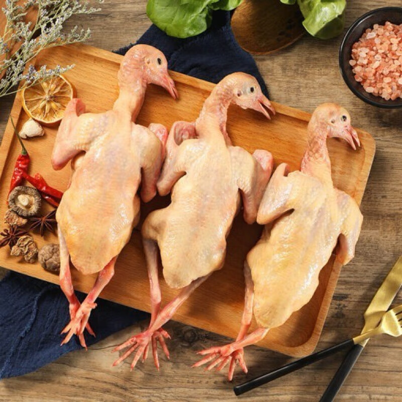 托蒙原新鲜乳鸽3只土鸽350g /只农家活体鸽子肉杂粮老鸽现杀 试吃一只