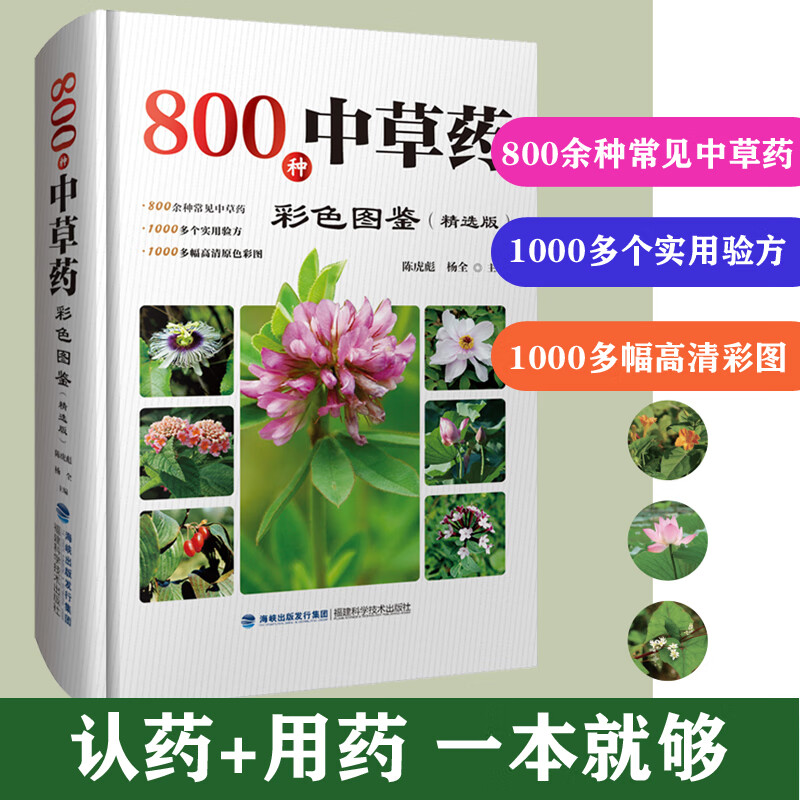 800种中草药彩色图鉴精选版 中药材大百科本草纲目彩色图鉴 中医入门初学者常见中草药识别中医养生药学中药书籍