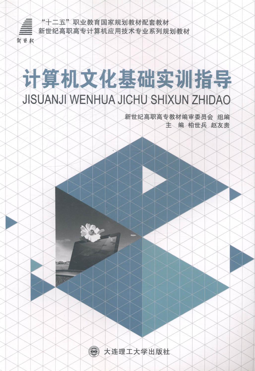 计算机文化基础实训指导/柏世兵/计算机与互联网/9787561191408/书籍