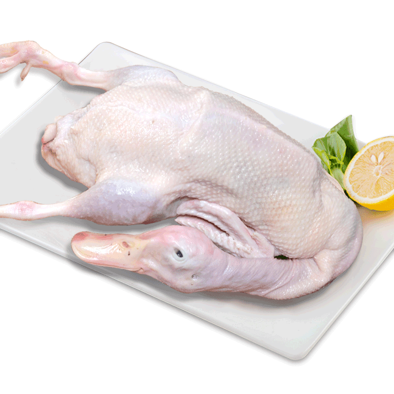 ¶ 2Ѽ 2.5/ֻ 㽭ũɢѼѼѼ