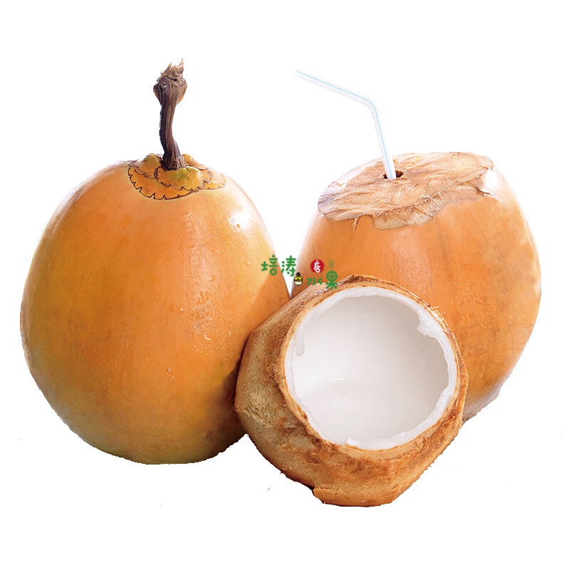 四叔公果蔬海南金椰6个装新鲜椰子黄金椰带壳椰青黄皮特产水果 f