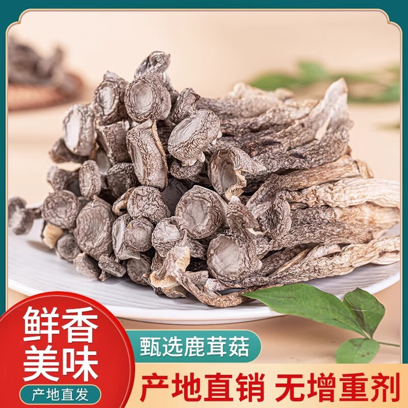 云芳斋云南特产鹿茸菇干货当季新货炒菜煲汤火锅蘑菇食材  鹿茸菇干货500g