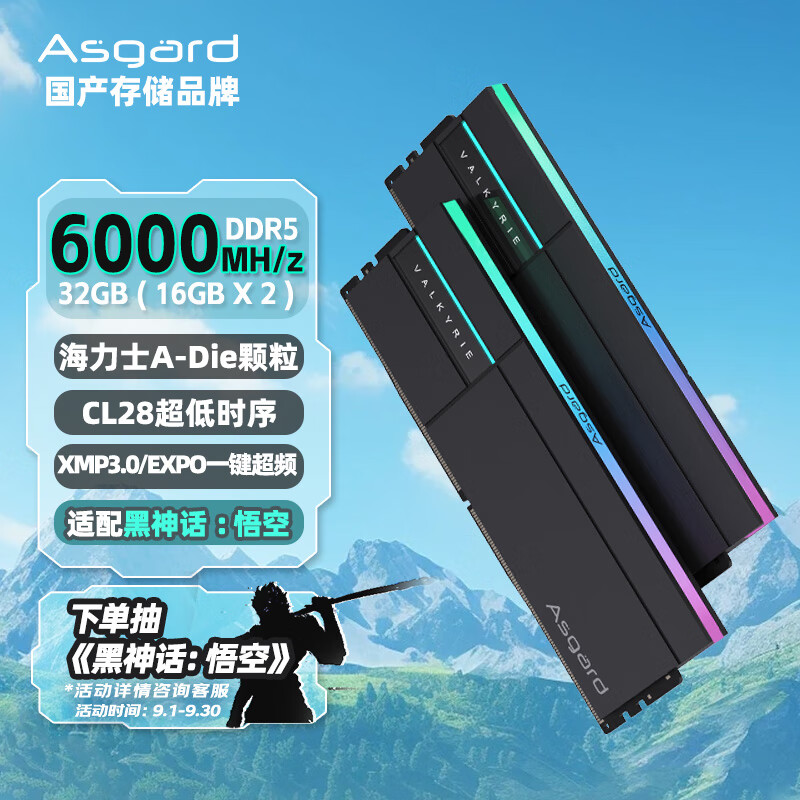 阿斯加特（Asgard）32GB(16Gx2)套 DDR5 6000 台式机内存条 RGB灯条-女武神·瓦尔基里Ⅱ代【C28】极夜黑