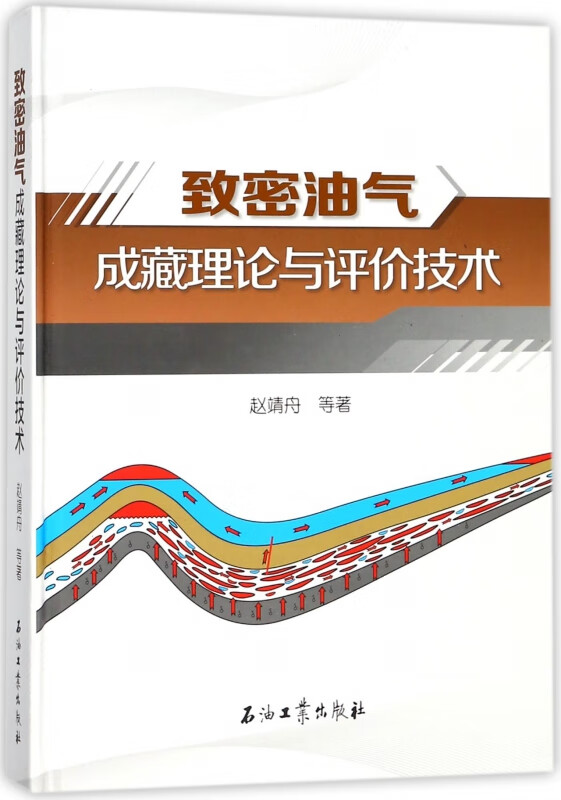 致密油气成藏理论与评价技术(精)