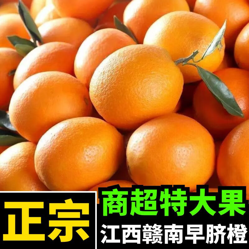 (精美礼盒)江西赣南甜脐橙早脐橙 赣州脐橙 当季水果橙子 新鲜孕妇