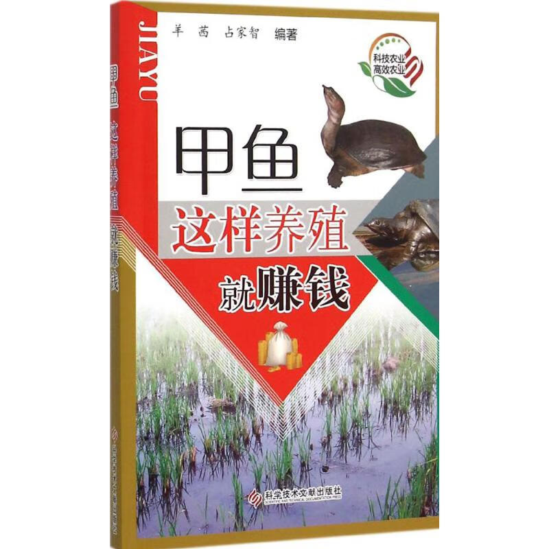甲鱼这样养殖就赚钱