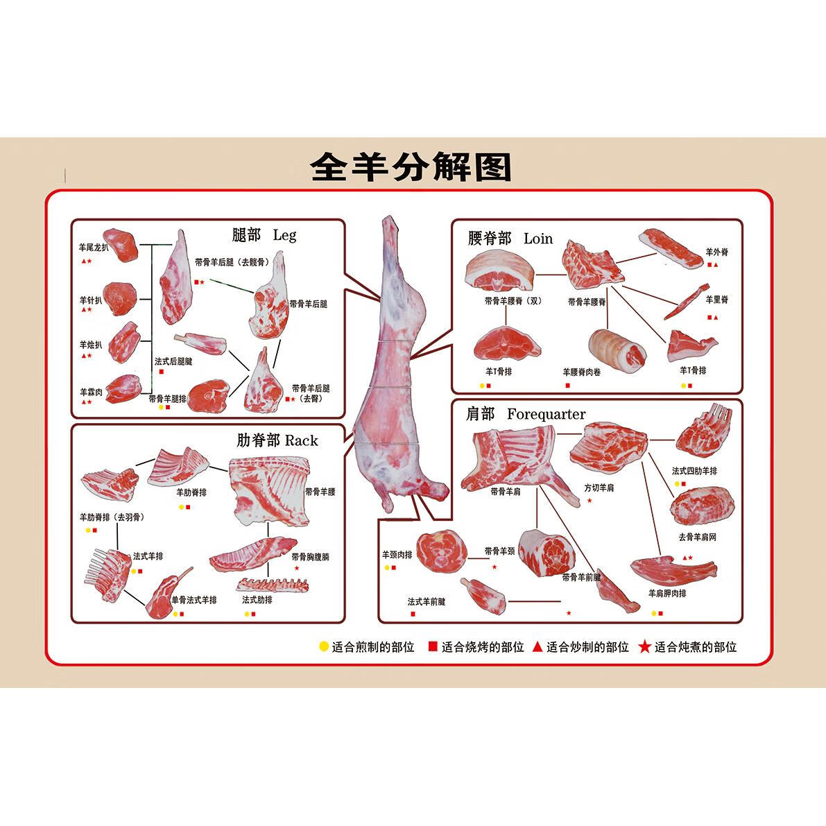 猪肉家禽分解分割图牛排部位示意图解剖市场超市大海报 01全羊分解图