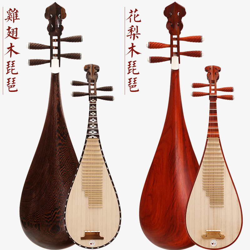 琵琶红木鸡翅木花梨木琵琶乐器初学入门教学成人琵笆乐器 鸡翅木直头