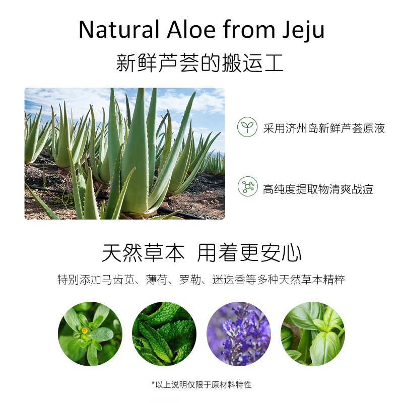 得鲜 the saem 韩国原装进口 芦荟胶舒缓保湿凝胶300ml补水芦荟膏晒后呵护身体乳淡化面霜