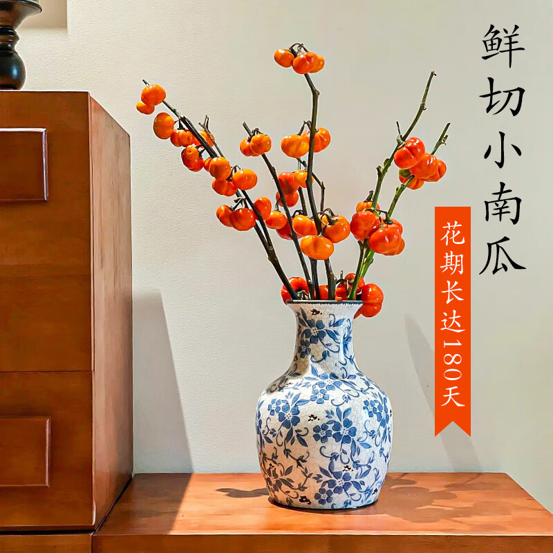 ���ڲ���������С�Ϲ��ʻ����Ͳ廨����ˮ��ɻ���֦��������ˮ����ֲ��װ�ΰڼ� С�Ϲ��ʻ�Լ70cm 4-6֦�����ַ�