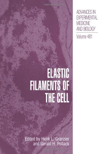 预订 elastic filaments of the cell