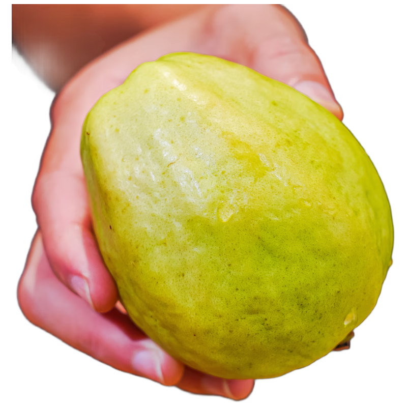   İ ʯ񵥹150g 4.5װ 24.9Ԫ