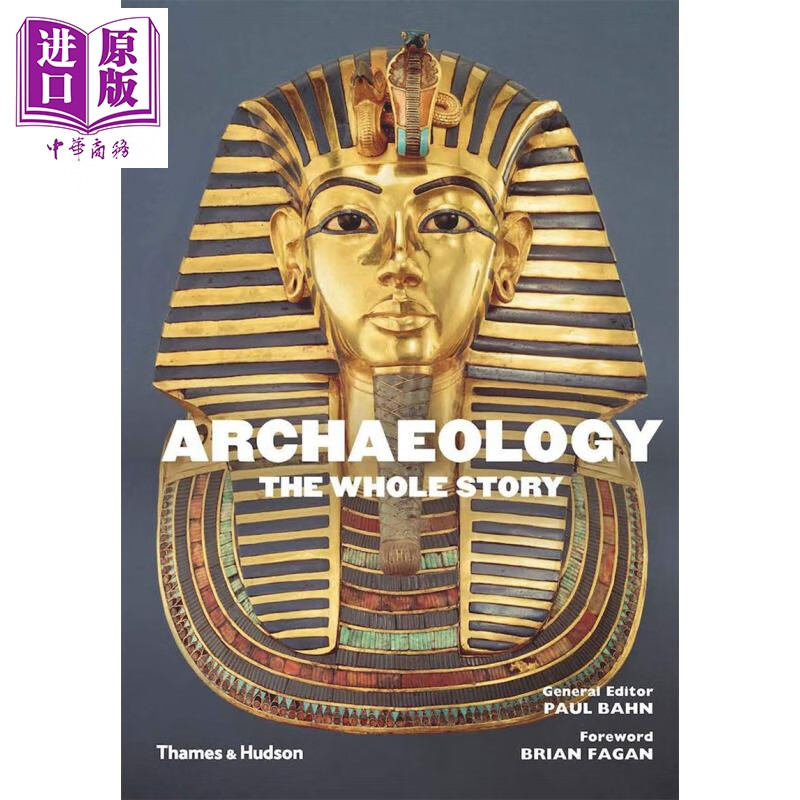 Archaeology: The Whole Story 英文原版 考古学的完整故事使用感如何?