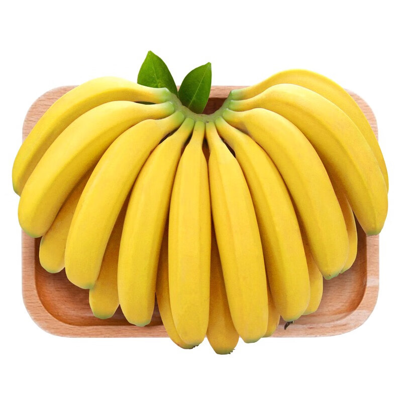 荼蘼鲜果 云南高山甜香蕉净重9斤青香蕉发自然熟