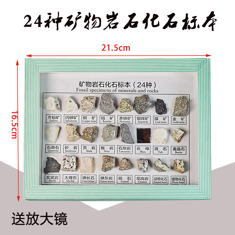 小学课堂教学科学实验种类多样活跃思维简洁矿物岩石化石标本自然地理
