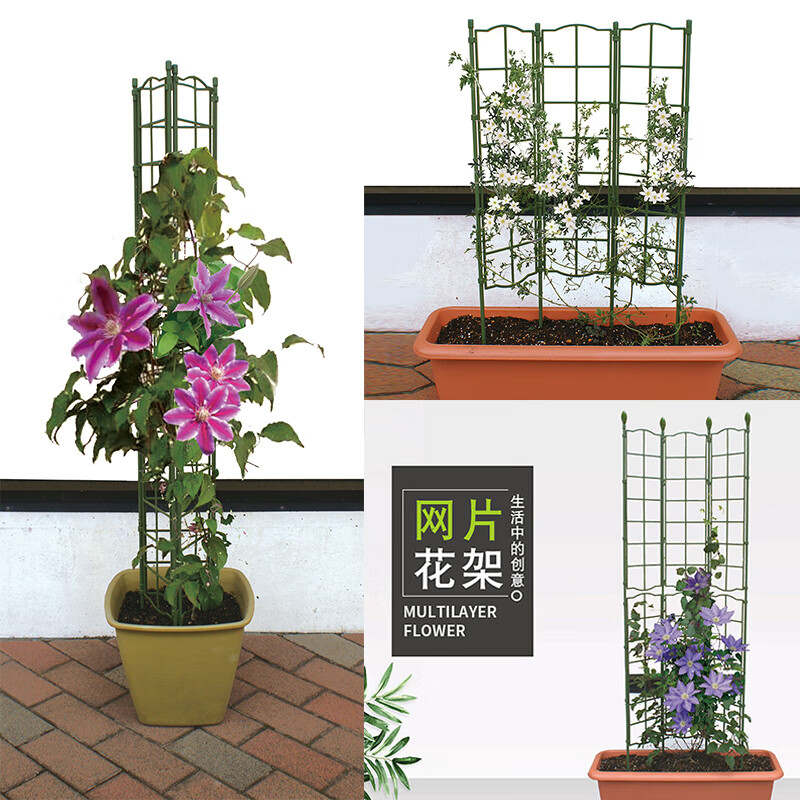 园之助(GARDEN HELPER)花架爬藤架铁线莲网格藤架月季铁线牵引植物支撑杆架子攀爬花支架 宽45cmx高1.8米 1套 中等怎么样,好用不?
