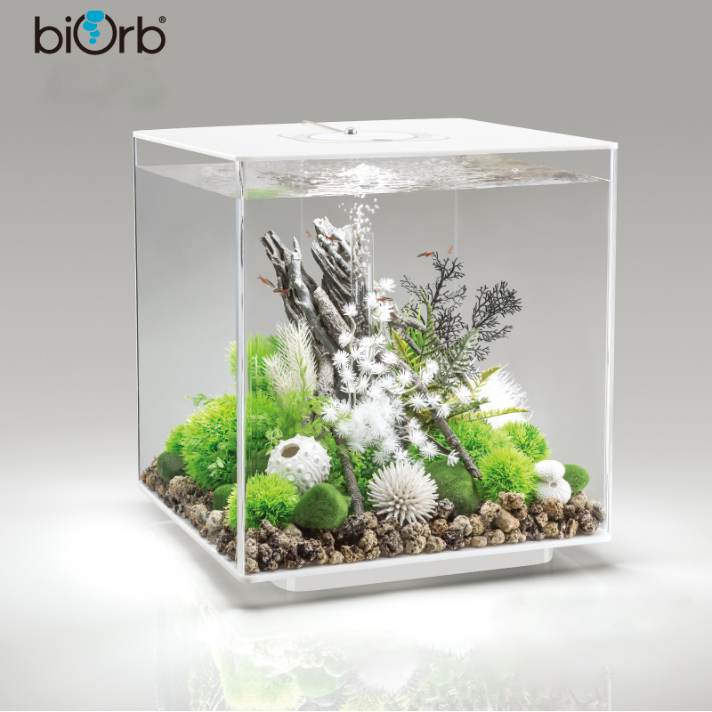 biorb 小型鱼缸60L MCR灯套餐是否适合放在桌面造景？插图