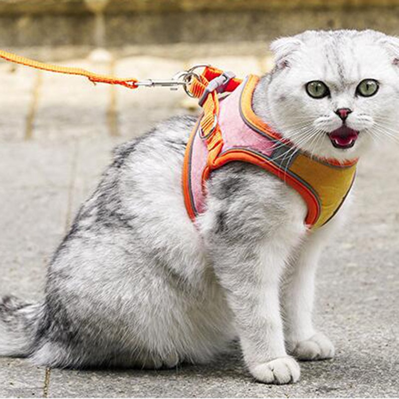 兰衍 遛猫绳 防逃脱猫咪牵引绳背心式溜猫绳猫咪胸背 牵猫绳 橙粉胸背
