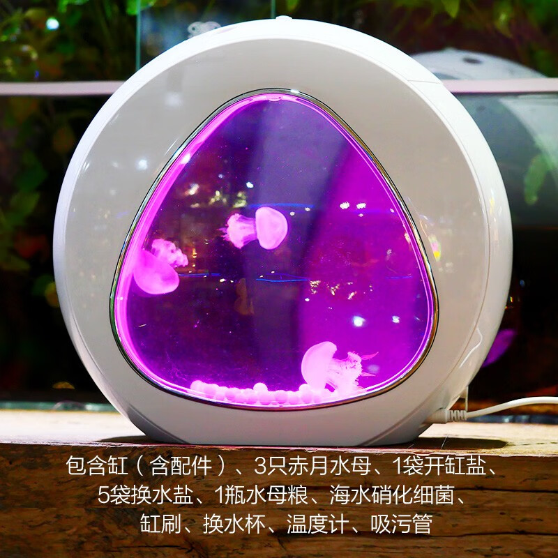 月光水母水母入門套裝海水寵物迷你魚缸赤月海月觀賞桌面網(wǎng)紅水母缸第5代 4L水母缸套裝(3赤月)