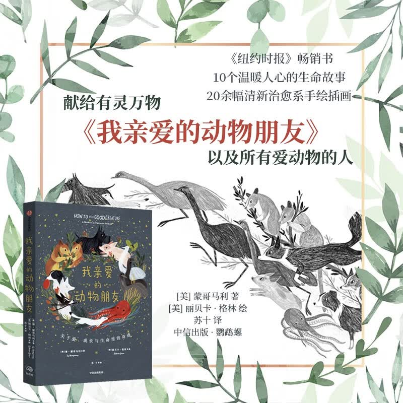我亲爱的动物朋友