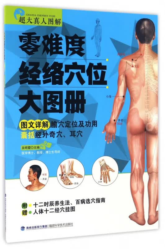 零难度经络穴位大图册