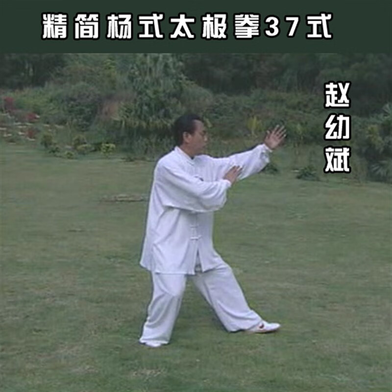 精简杨式太极拳三十七式u盘杨氏37式dvd光碟视频教学珍藏版 dvd光盘版