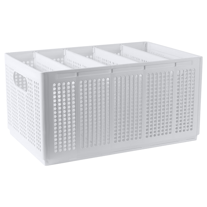 LYNN�·����ɺ��¹��������������ֲ������³�����������ָ�������