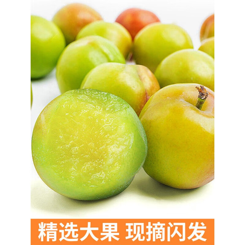 花农氏三月李钱排三月李子钱排三月李三华青李茂名李酸脆孕妇酸甜水果新 500g 中果每斤60-65个