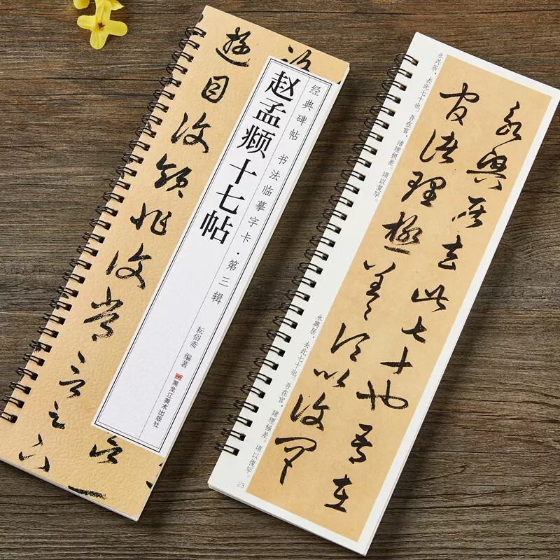 唐怀仁集王羲之书圣教序赵孟頫临集王圣教序墨迹本行书楷书篆书毛 赵孟頫十七帖