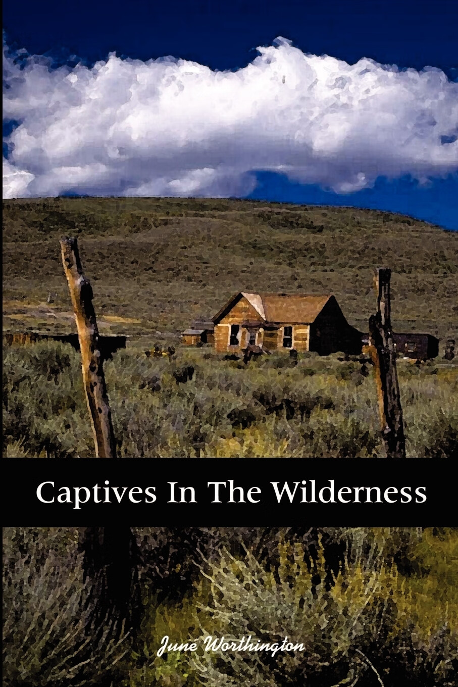 【预售 按需印刷】captives in the wilderness