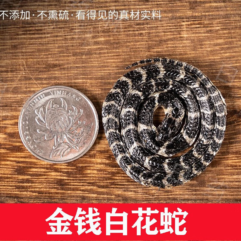 星禾堂 金钱白花i蛇中药材整条小花蛇大金钱白i花蛇银环蛇 1条