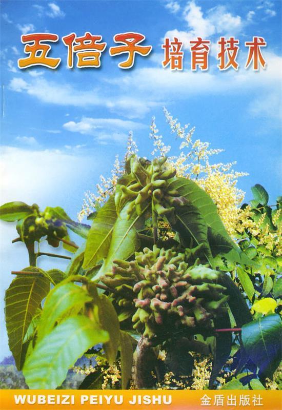 五倍子培育技术 田泽君 编著【正版】