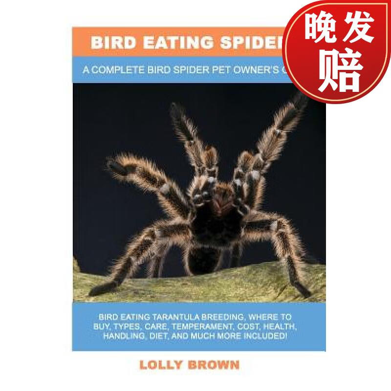 【4周达】bird eating spiders: bird eating tarantula breeding